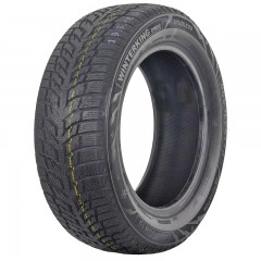 Автошина Doublestar WINTERKING DW08 165/65 R14 79T