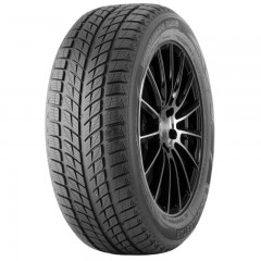 Автошина Doublestar WINTERKING DW09 215/45 R17 91H XL